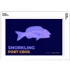 Affiche Anjuna Boutan Port-Cros 38 X 56 Cm