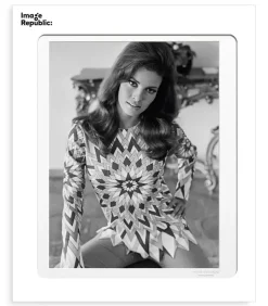 Affiche La Galerie Raquel Welch 5 38 X 56 Cm