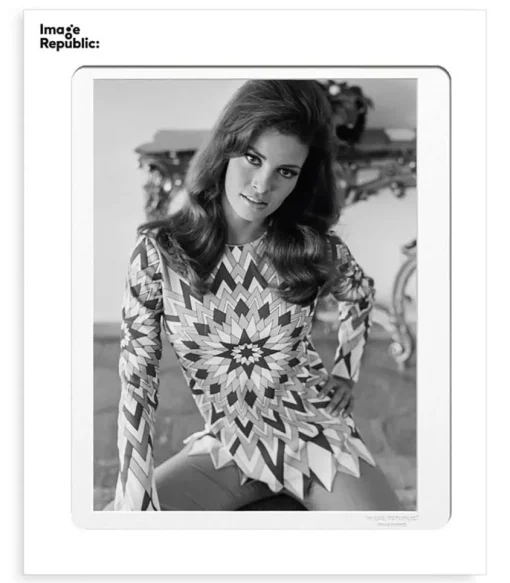 Affiche La Galerie Raquel Welch 5 38 X 56 Cm