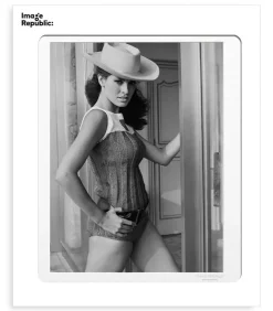 Affiche La Galerie Raquel Welch 2 38 X 56 Cm