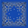 Bandana Klein
