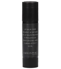 Baume A Levres Menthe 10 Ml