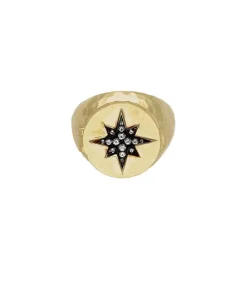 Chevaliere Constellation Secret