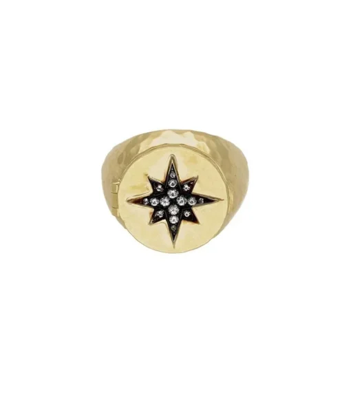 Chevaliere Constellation Secret