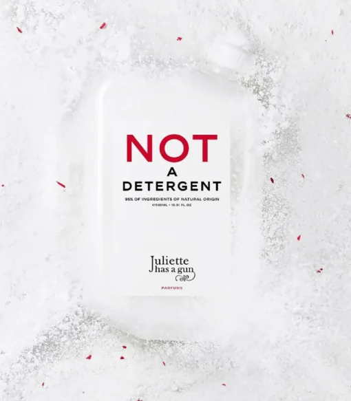 Lessive Not A Detergent 500 Ml