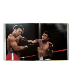 Livre The Fight