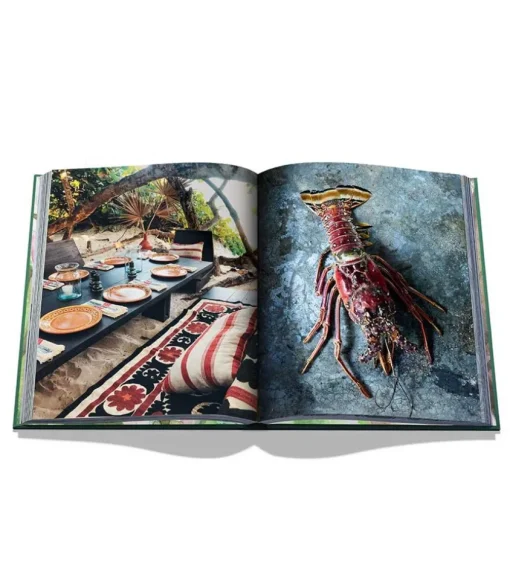 Livre Tulum Gypset
