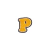 Patch The Letter P