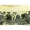 Vide-Poches Vintage "Bird'S Eye View"